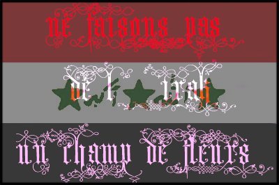 Ne faisons pas de l'Iraq un champ de roses...